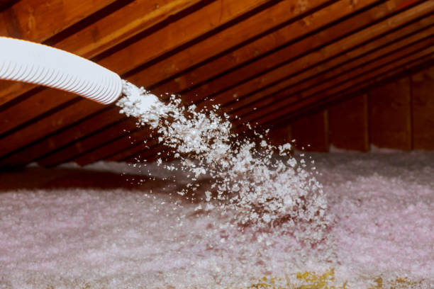 Best Insulation Contractors for Homes  in Nebo, NC