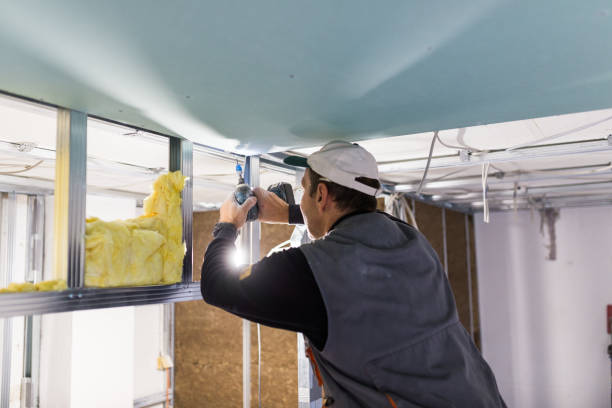 Best Insulation Removal Services  in Nebo, NC