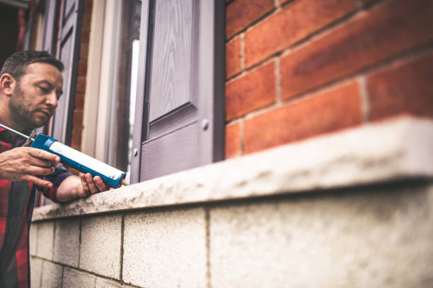 Best Insulation Replacement Services  in Nebo, NC