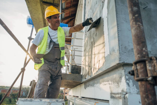 Best Professional Insulation Contractor  in Nebo, NC