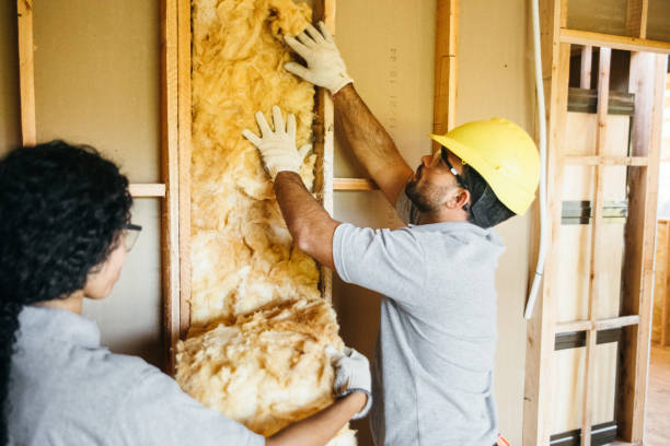 Best Spray Foam Insulation  in Nebo, NC