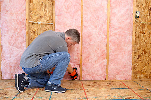 Best Fiberglass Insulation  in Nebo, NC