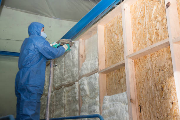 Best Insulation Repair Services  in Nebo, NC