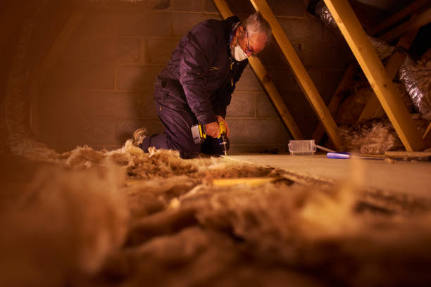 Best Energy-efficient Insulation  in Nebo, NC